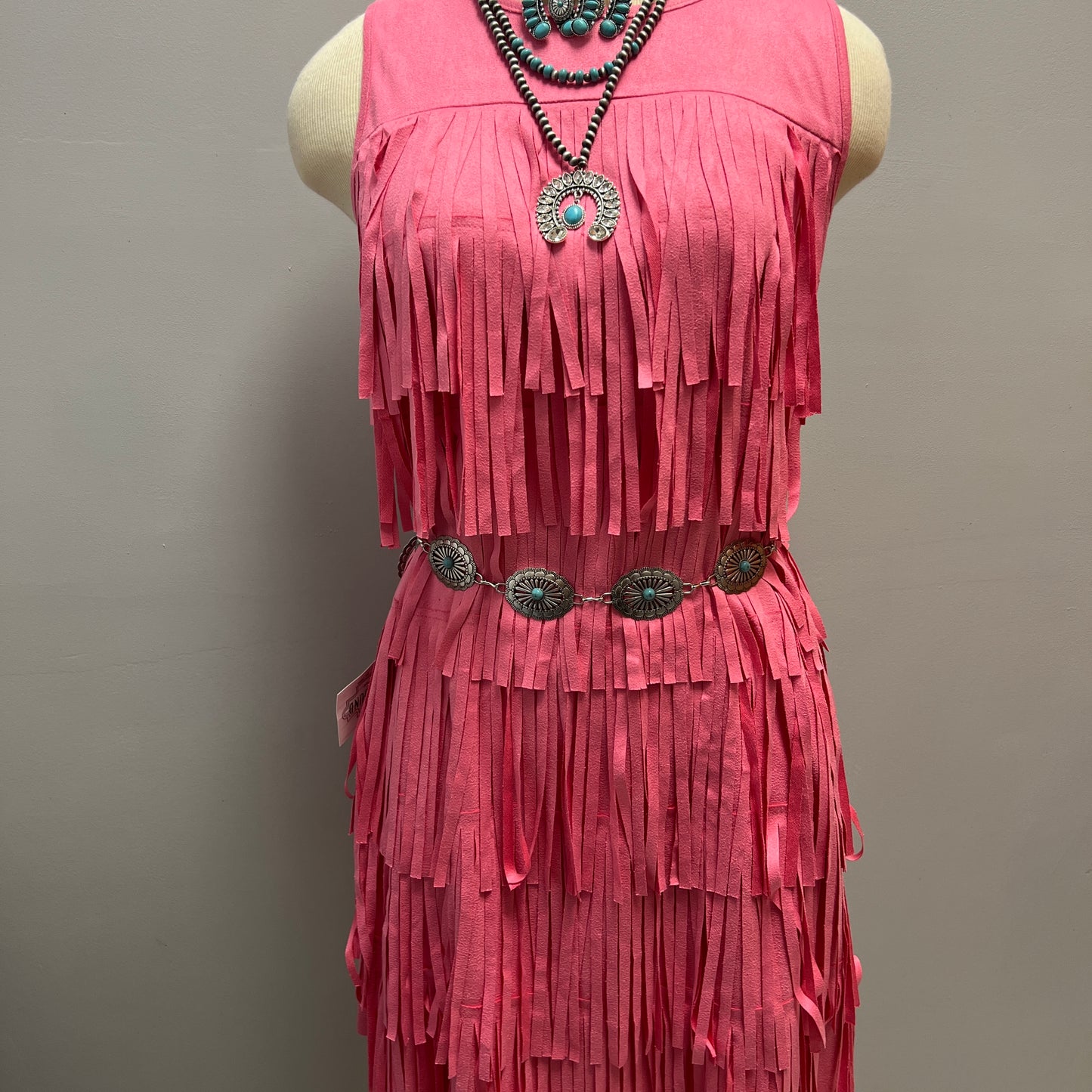 Ana’s Pink Fringe Dress